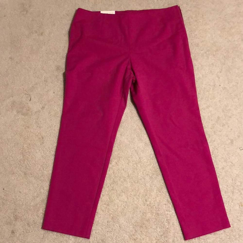 BRAND NEW skinny ankle pants - size 14 - Picture 1 of 8